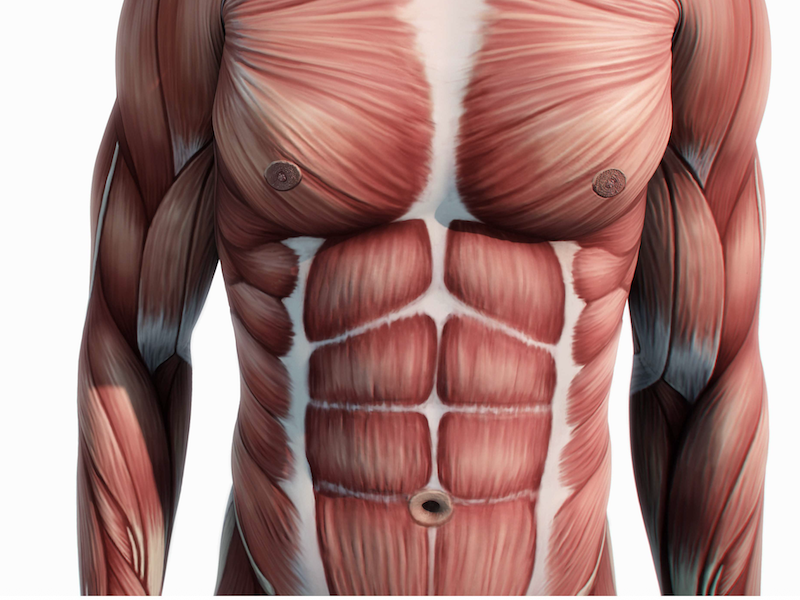 LA SCIENZA DIETRO LA TECNOLOGIA