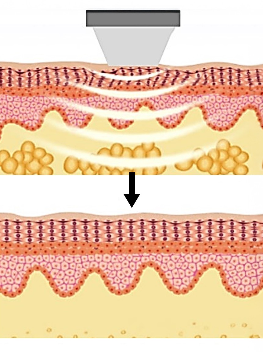 LA SCIENZA DIETRO LA TECNOLOGIA