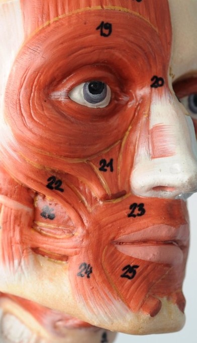 LA SCIENZA DIETRO LA TECNOLOGIA