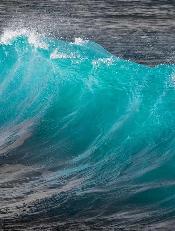 IL POTERE DEGLI ESTRATTI MARINI